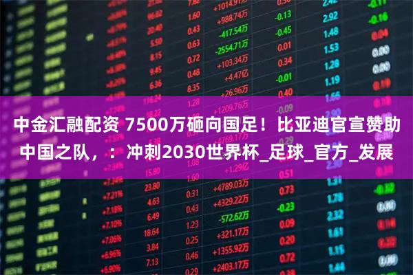 中金汇融配资 7500万砸向国足！比亚迪官宣赞助中国之队，：冲刺2030世界杯_足球_官方_发展