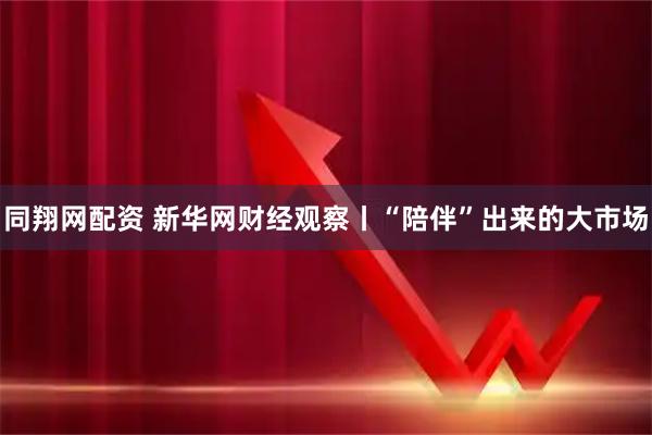 同翔网配资 新华网财经观察丨“陪伴”出来的大市场
