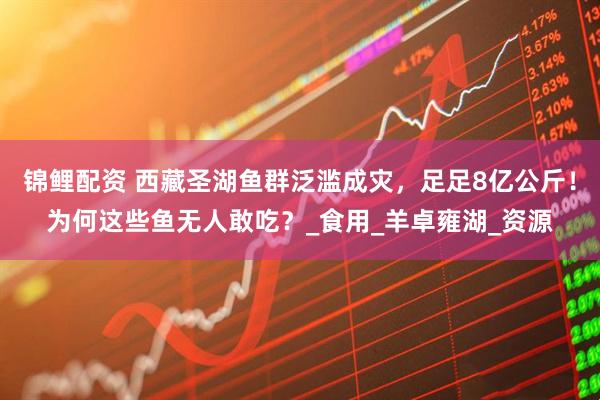 锦鲤配资 西藏圣湖鱼群泛滥成灾，足足8亿公斤！为何这些鱼无人敢吃？_食用_羊卓雍湖_资源