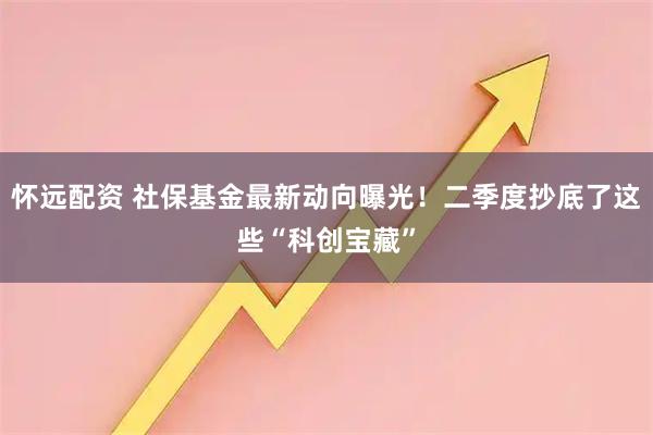 怀远配资 社保基金最新动向曝光！二季度抄底了这些“科创宝藏”