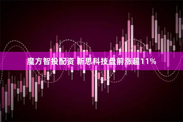 魔方智投配资 新思科技盘前涨超11%
